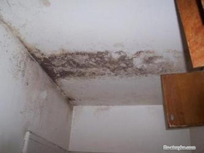 L'HUMIDITÉ DANS LES MAISONS EN BRIQUE