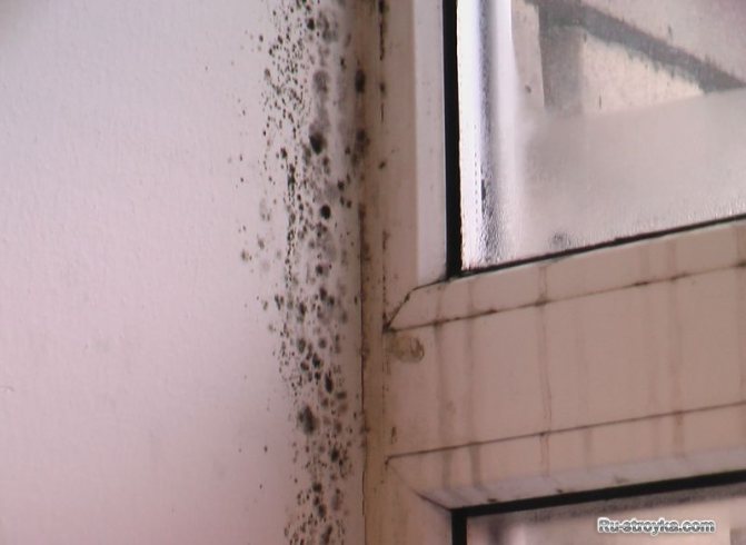 L'HUMIDITÉ DANS LES MAISONS EN BRIQUE