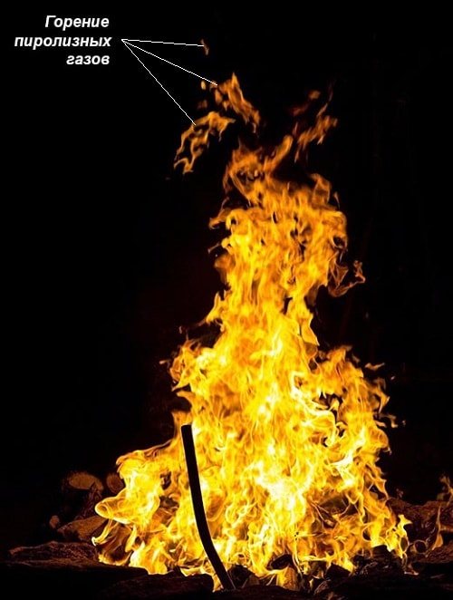 Holz in einem Feuer verbrennen