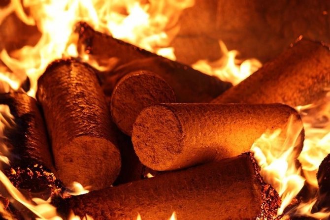 Briquette de combustible Nestro