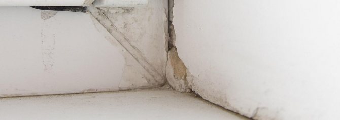 fissures dans la pente de ciment