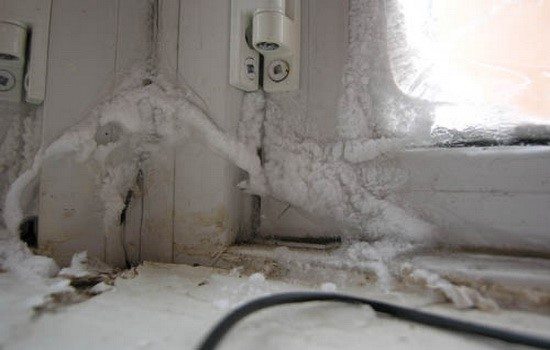 Wir isolieren für den Winter eine Dichtung für Kunststofffenster