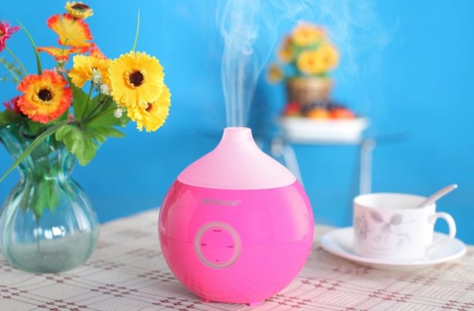 Humidificateur d'air dans l'appartement
