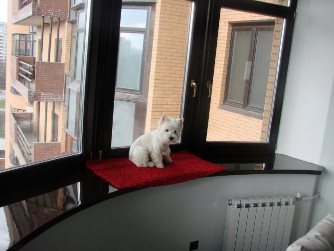 Fondamentalement, de petites structures sont installées sur le balcon, avec une largeur moyenne de 20 cm, et la largeur maximale du rebord de la fenêtre est de 60 cm