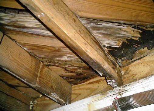 Ventilation des combles : 4 solutions de base