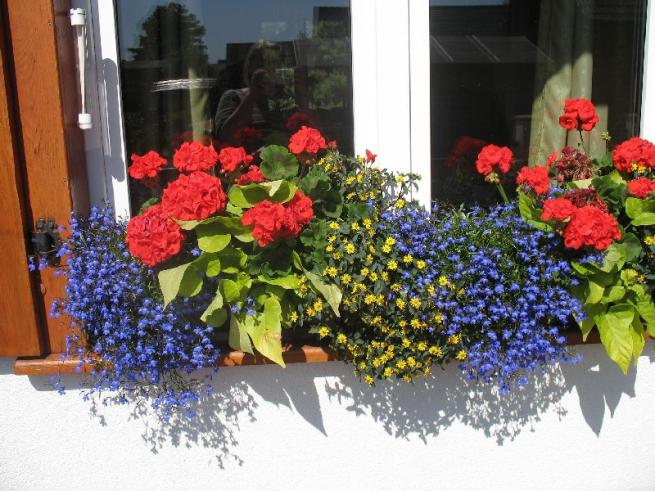Décoration florale extérieure de fenêtres en plastique, décoration de rebord de fenêtre