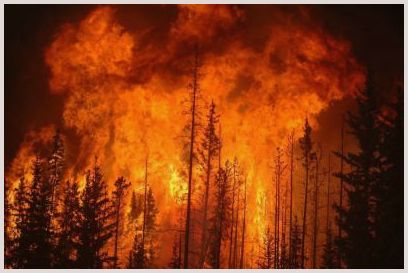feu de bois