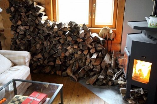 Trockenes Brennholz ernten