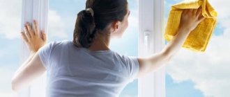 Femme lave la fenêtre par temps ensoleillé